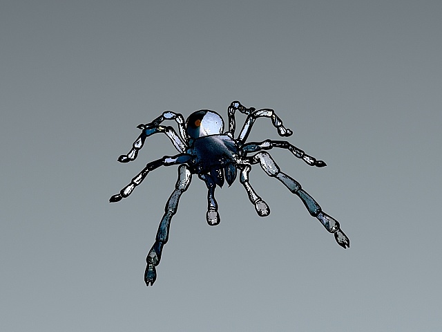 3d玩具蜘蛛