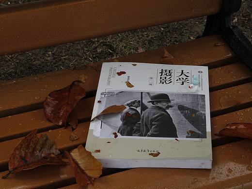 校園公用長(zhǎng)椅拍攝（個(gè)人主頁-ZNjM4NDE3MDQ=） - 風(fēng)光攝影 - 站酷設(shè)計(jì)師chowhound0417原創(chuàng)素材 - 站酷ZCOOL