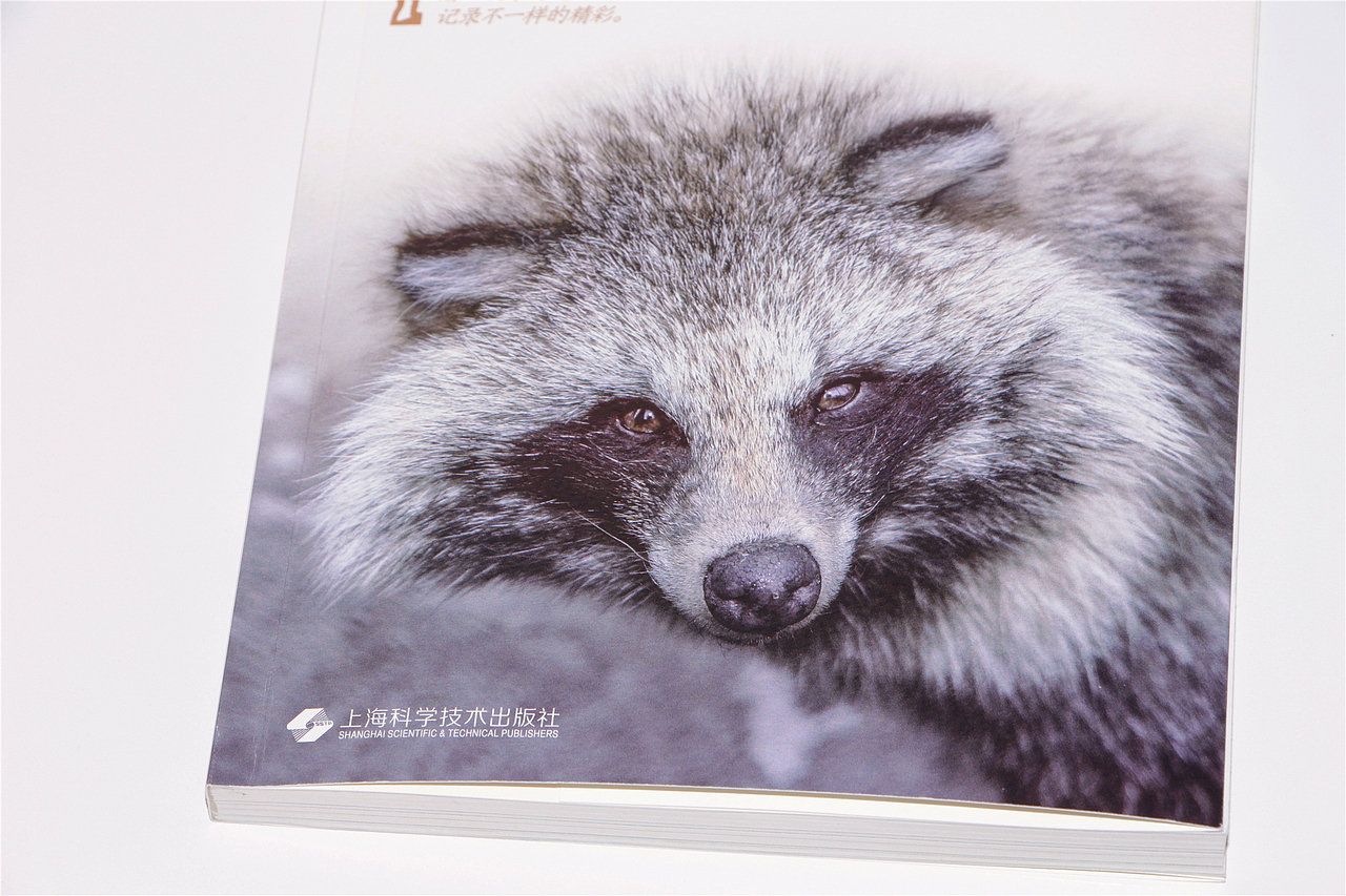 2020年第5本图书的封面设计（正式稿与飞机稿）（图ZMjI4OTAwODQw） - 书籍/画册 - 站酷设计师尚沪晴好原创素材 - 站酷ZCOOL