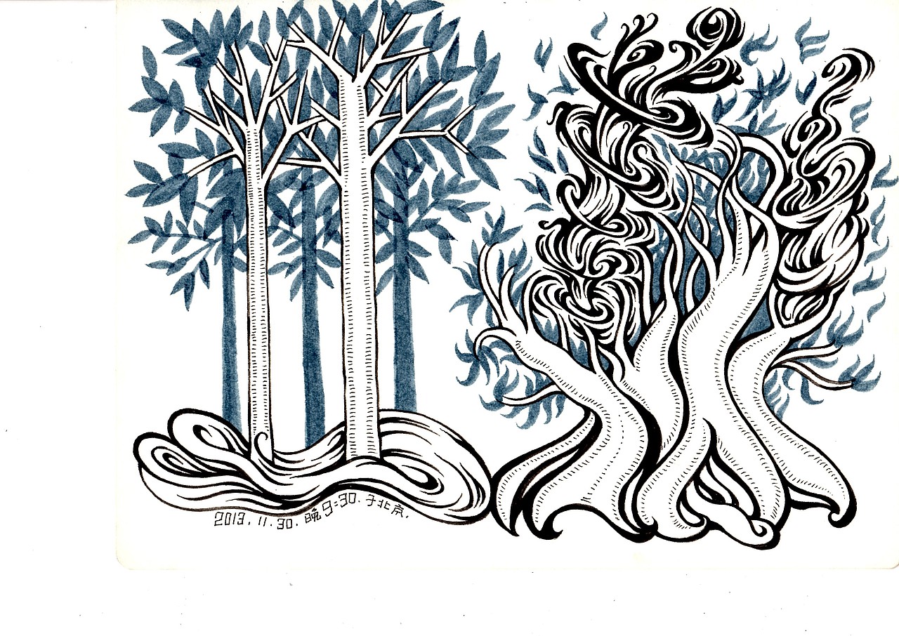 创意速写:题目,用树木,表现刚和柔。