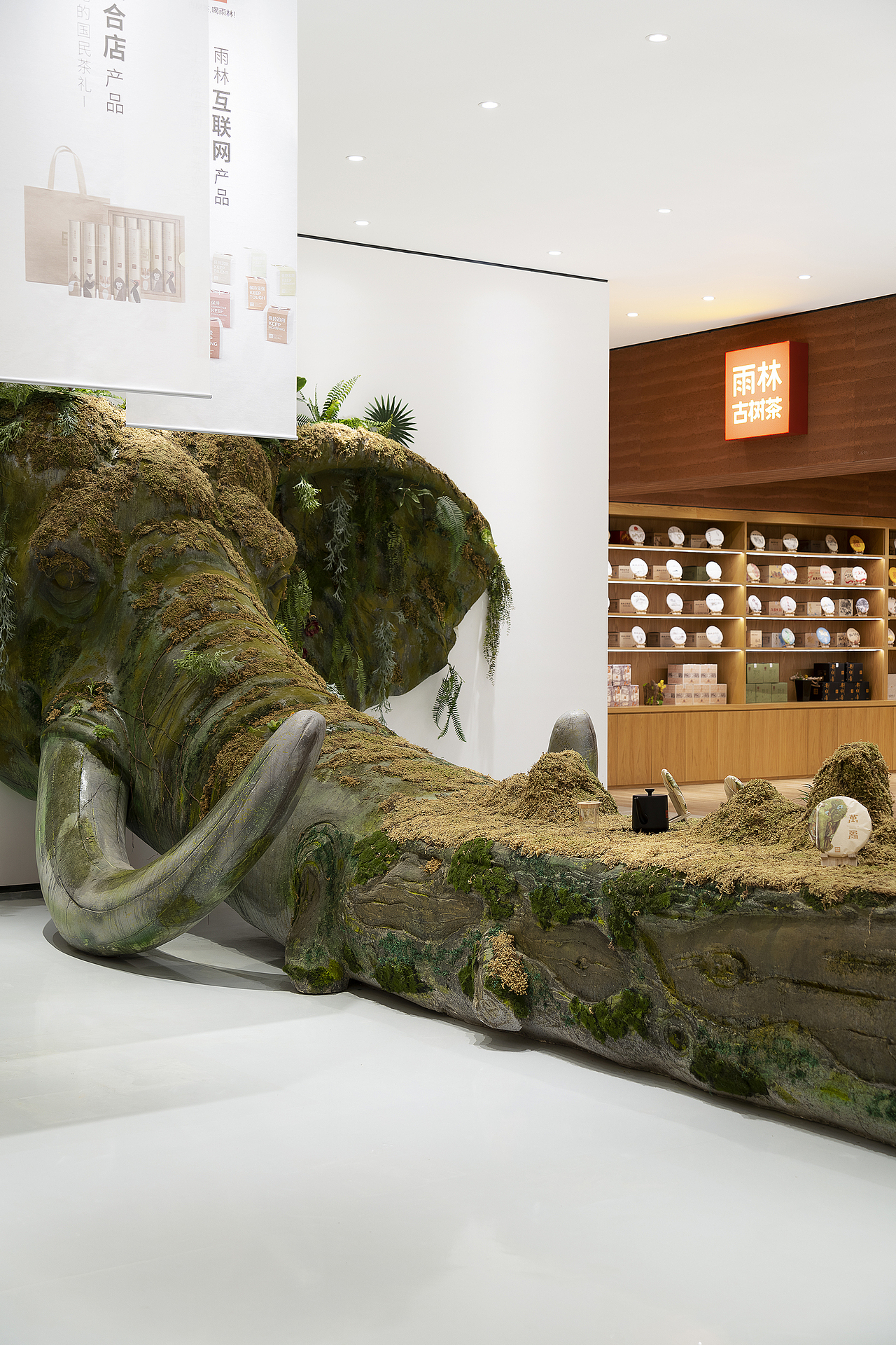 沉浸体验时代，雨林古树茶的体验之旅（图ZMjk0OTg2MDEy） - 展陈设计 - 站酷设计师容品牌原创素材 - 站酷ZCOOL