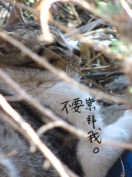 我结交了一群新朋友（图ZMjc2MjE3ODA=） - 文案/策划 - 站酷设计师画师x如也原创素材 - 站酷ZCOOL