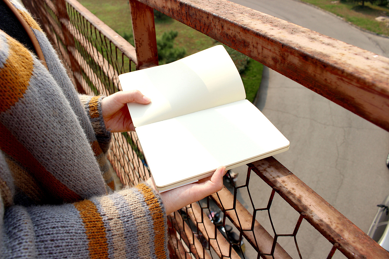 《猫的玩偶》（图ZMTY1OTU4ODI4） - 商业插画 - 站酷设计师程豪原创素材 - 站酷ZCOOL