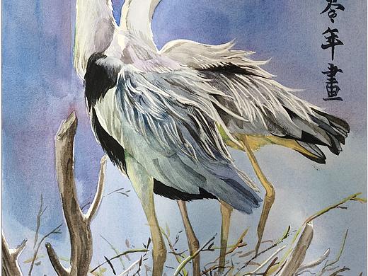 苍鹭（个人主页-ZNDM3NDU0MzI=） - 绘画 - 站酷设计师dxawuemc原创素材 - 站酷ZCOOL
