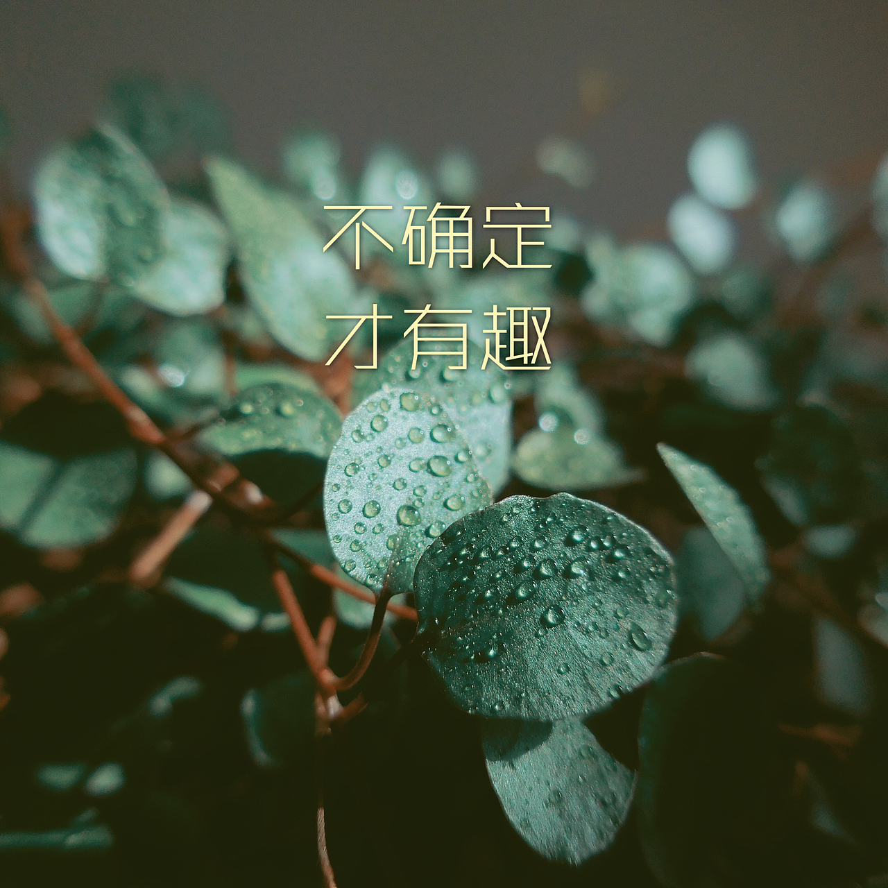 PS（图ZMTQ5Njc5NTYw） - 其他 - 站酷设计师betty1021原创素材 - 站酷ZCOOL