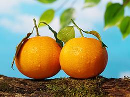 你站着别动我去给你买个【橙子】