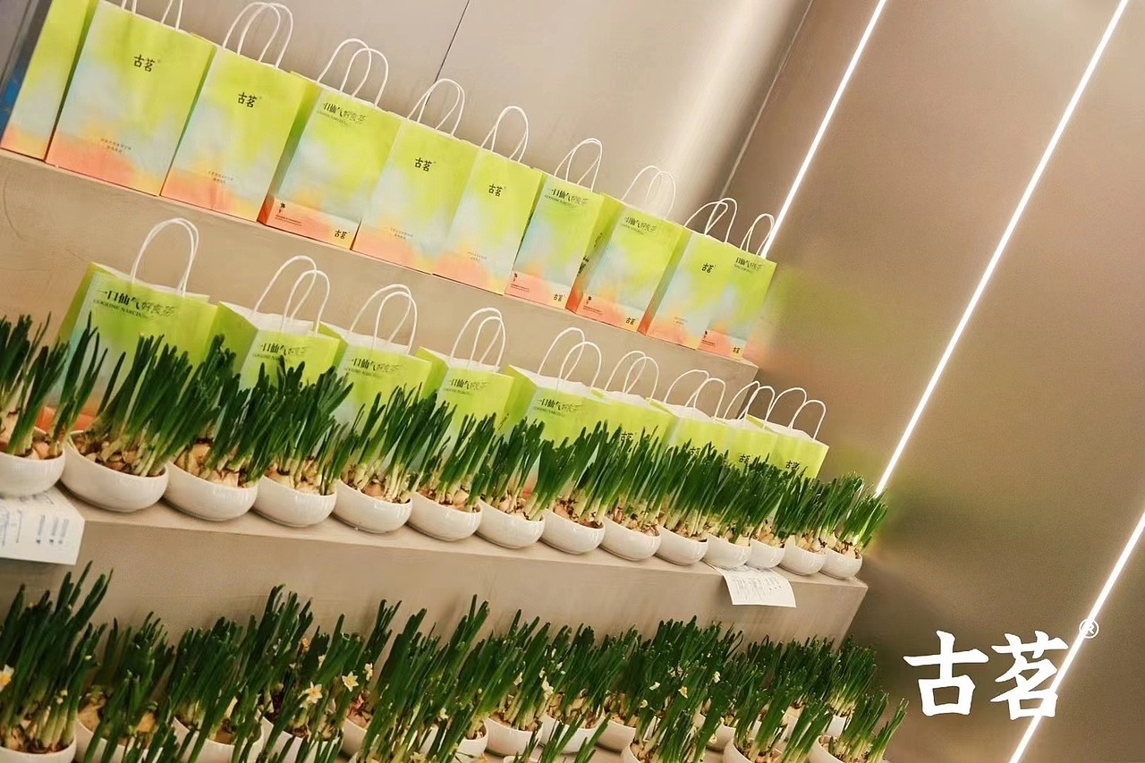 ［古茗］漳州万达店升级开业（图ZMzcxOTMyNzc2） - 宣传物料 - 站酷设计师DUDE三其原创素材 - 站酷ZCOOL