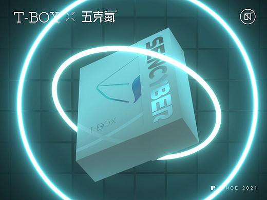 五克氮²×T-BOX | 车载监控包装设计