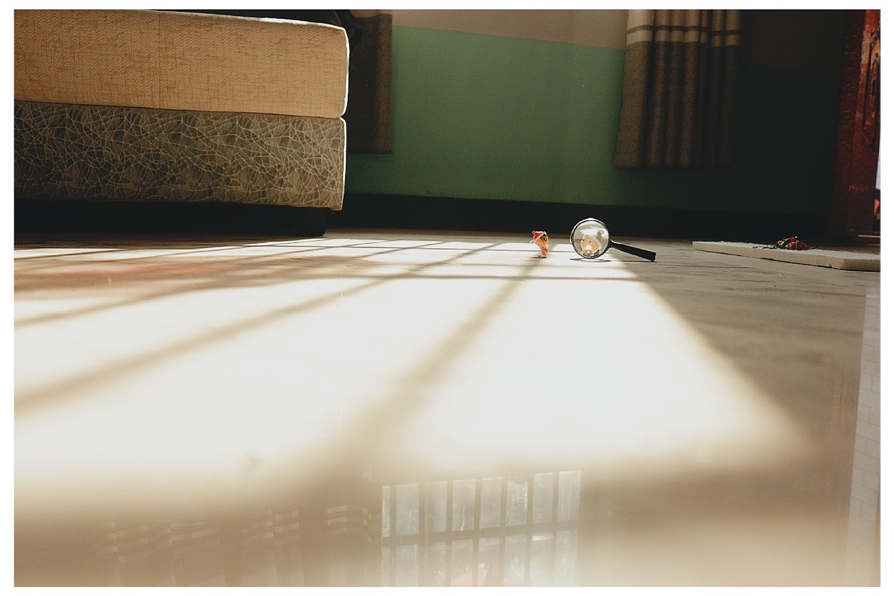 摄影小白……嘻嘻