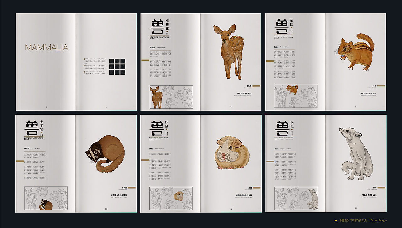 野生保护动物名录2020毕业设计