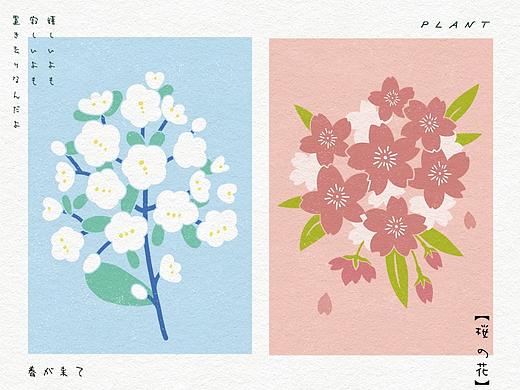 日和唯美花卉《栀枝絮语》插画 丝网印刷植物明信片