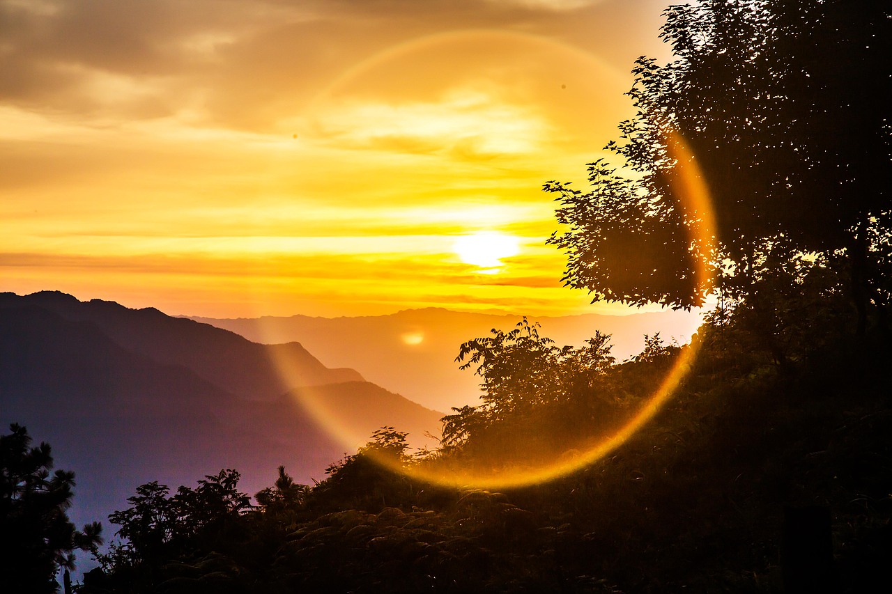 天生露 露生雾 美