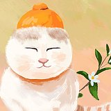 猫的桔子汁的头像