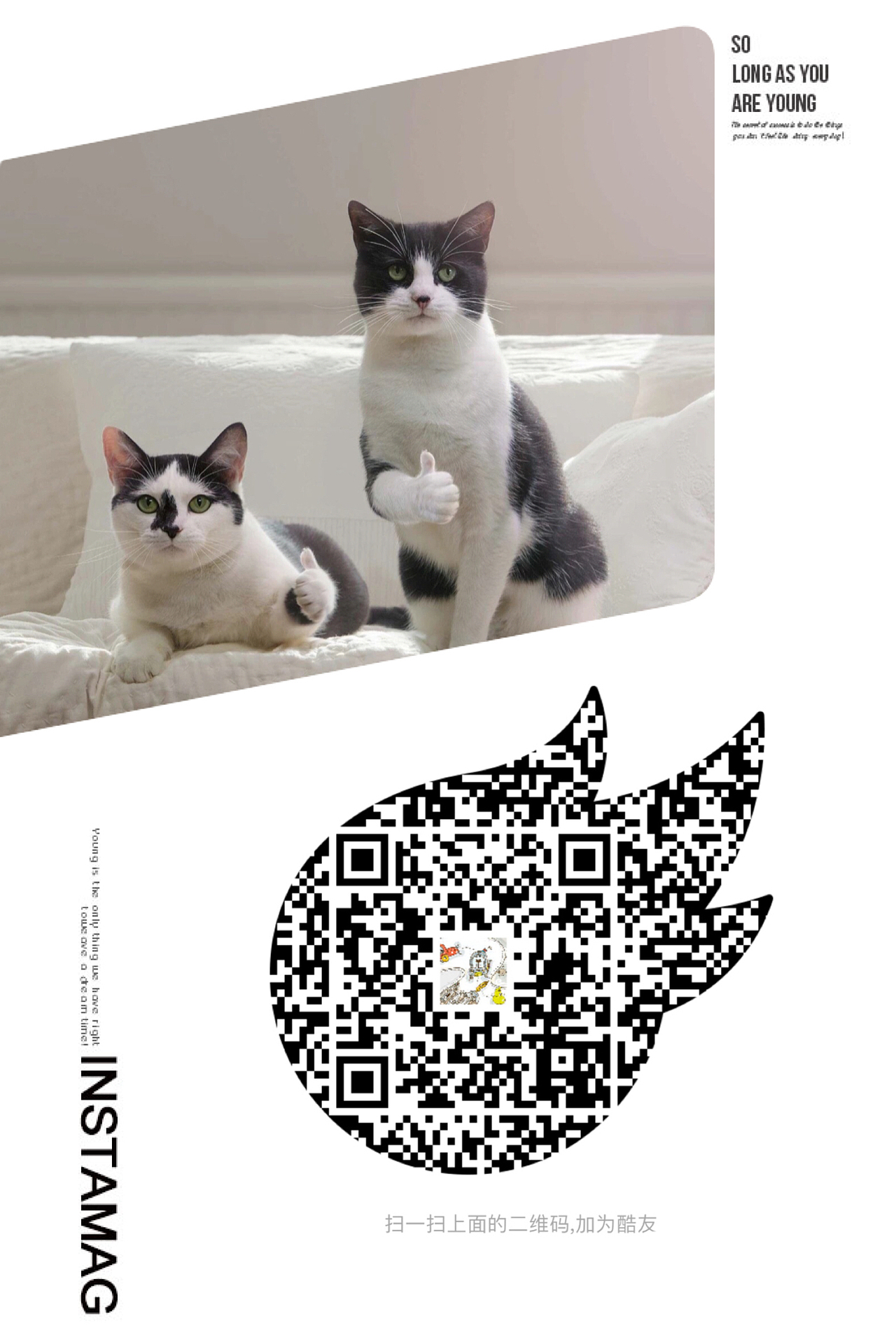 谢谢关注!辛苦各位。