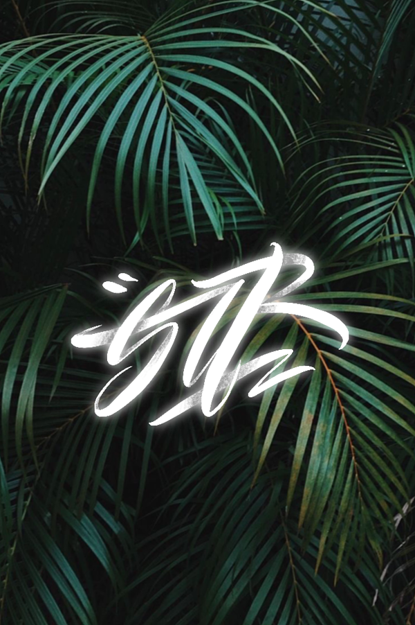 [Calligraphy X Lettering]这些年写过的字（图ZMjIzMzE4NTA0） - 字体/字形 - 站酷设计师BUSY_STR原创素材 - 站酷ZCOOL