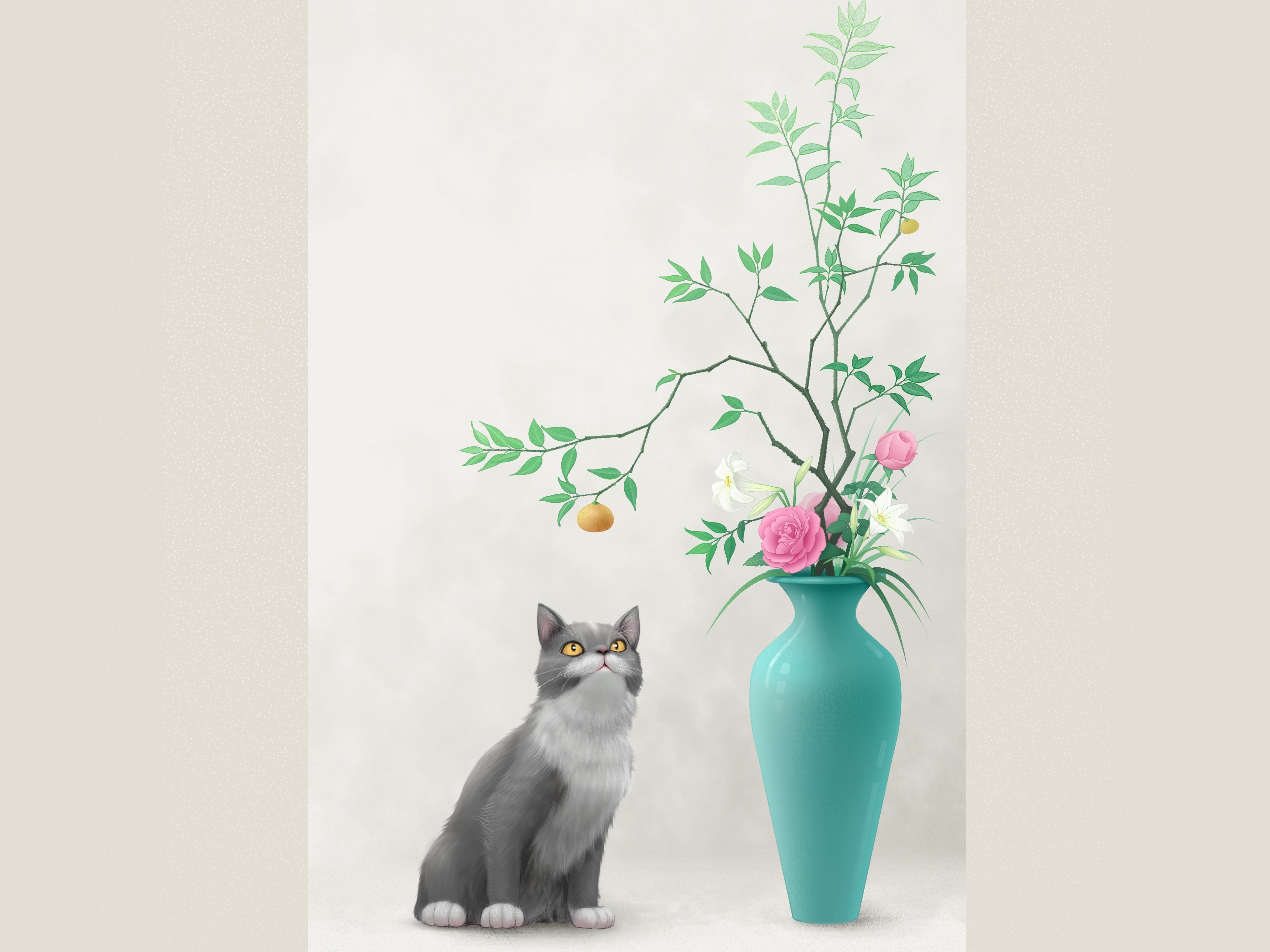 猫和橘子——手机壁纸