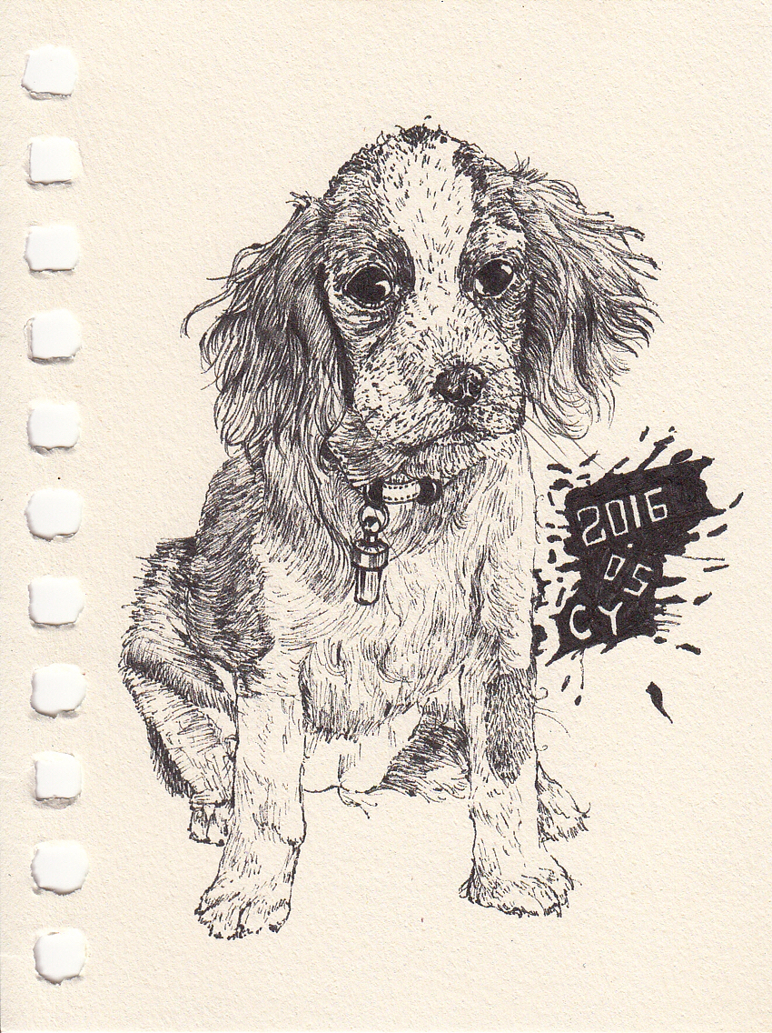 CY手绘之针管笔五月第一波