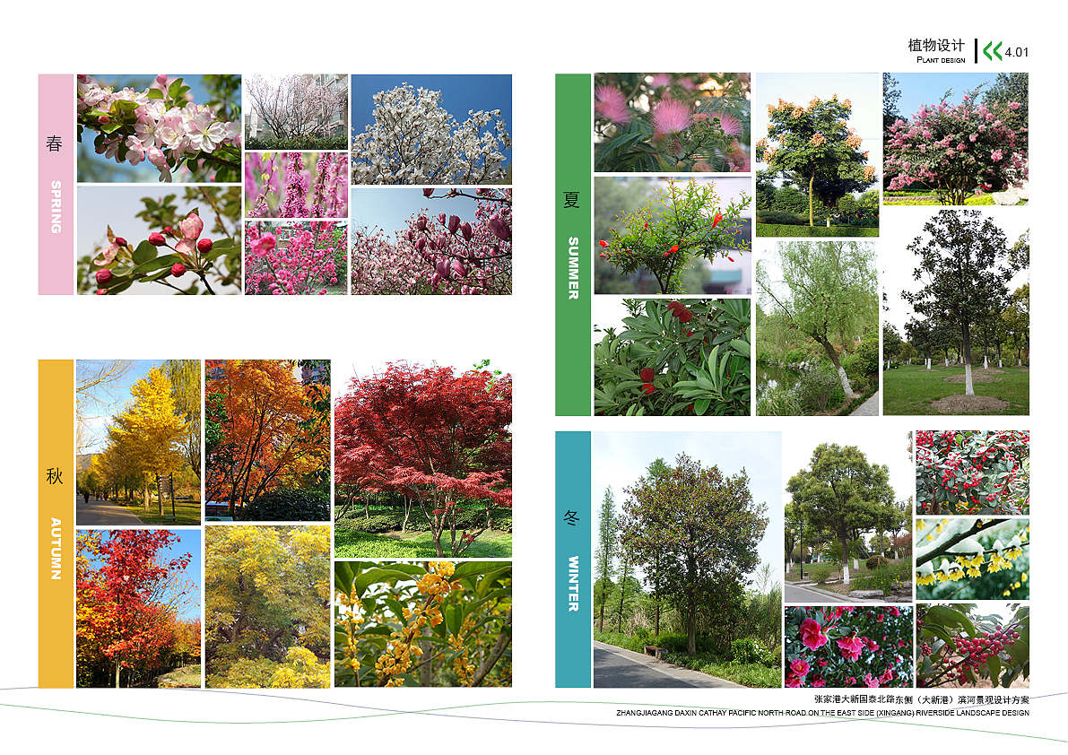 园林景观方案设计TOP2(张家港大新国泰北路东侧滨河景观设计方案)