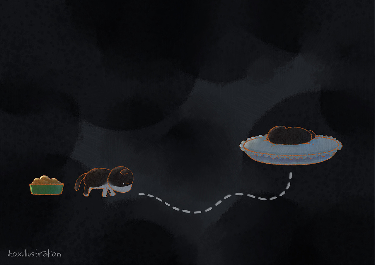 猫之梦（图ZMTk2Mzc5MDUy） - 绘本 - 站酷设计师Kox豪烁郎原创素材 - 站酷ZCOOL