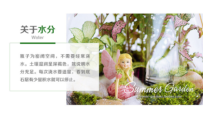 绿植手作--夏末时分许愿精灵--《夏末花园成长日记29》（图ZMzI2MTUyNzI=） - 其他手工艺 - 站酷设计师zxsummer原创素材 - 站酷ZCOOL