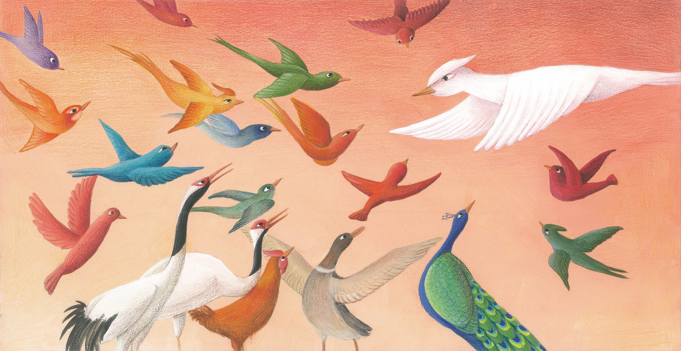 《鸟为什么是鸟儿？》英文绘本|插画|儿童插画|Fieryu - 原创作品 - 站酷 (ZCOOL)