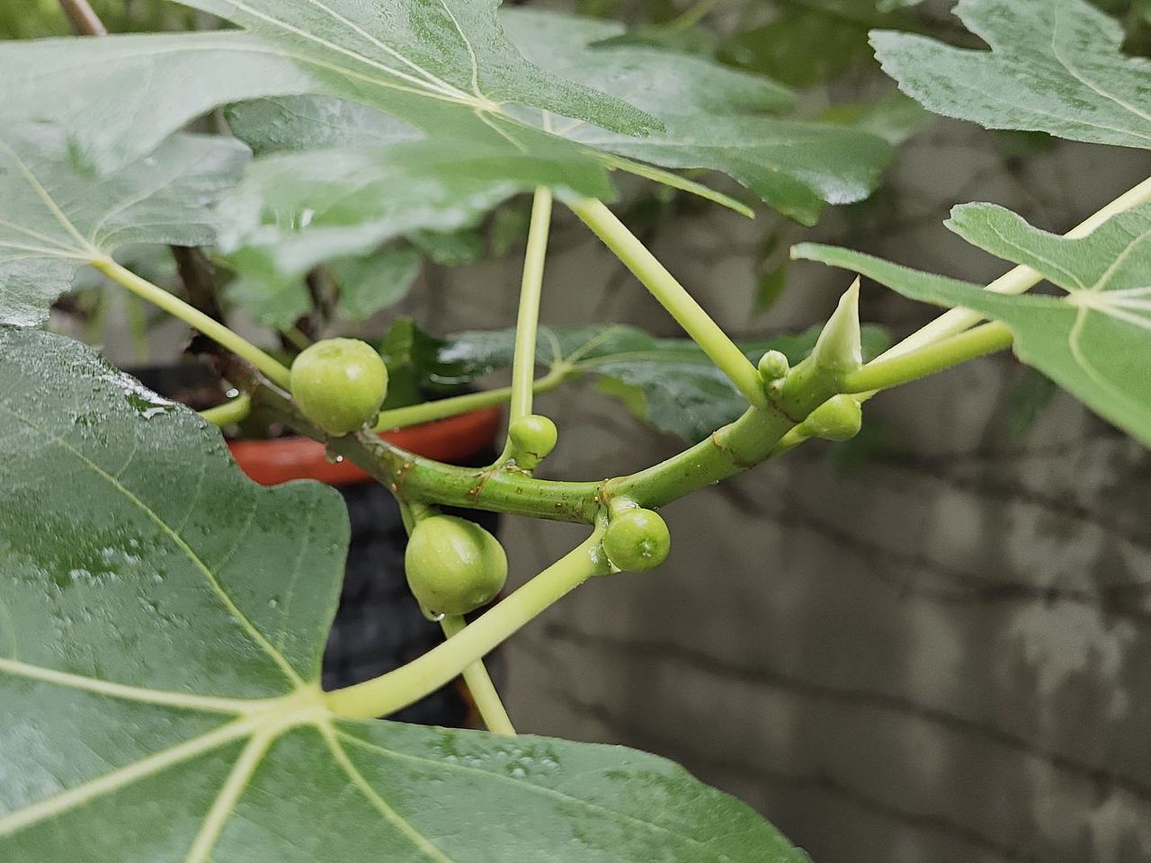 暴雨过后（图ZMzY4MDU0MTI4） - 风光摄影 - 站酷设计师圆真王子原创素材 - 站酷ZCOOL