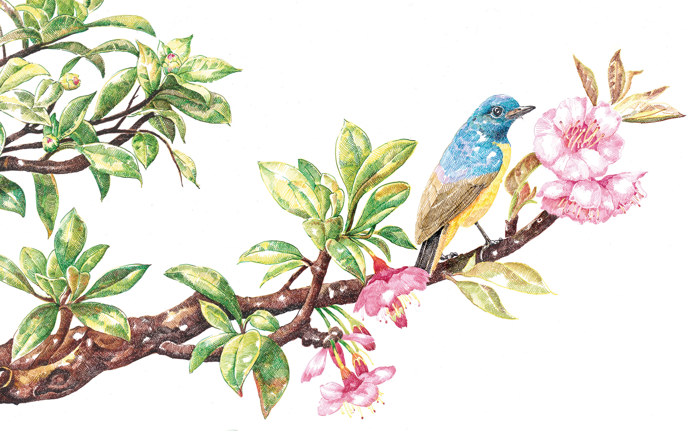 春-暗香 spring fragrance 120x90cm 布面丙烯 2016