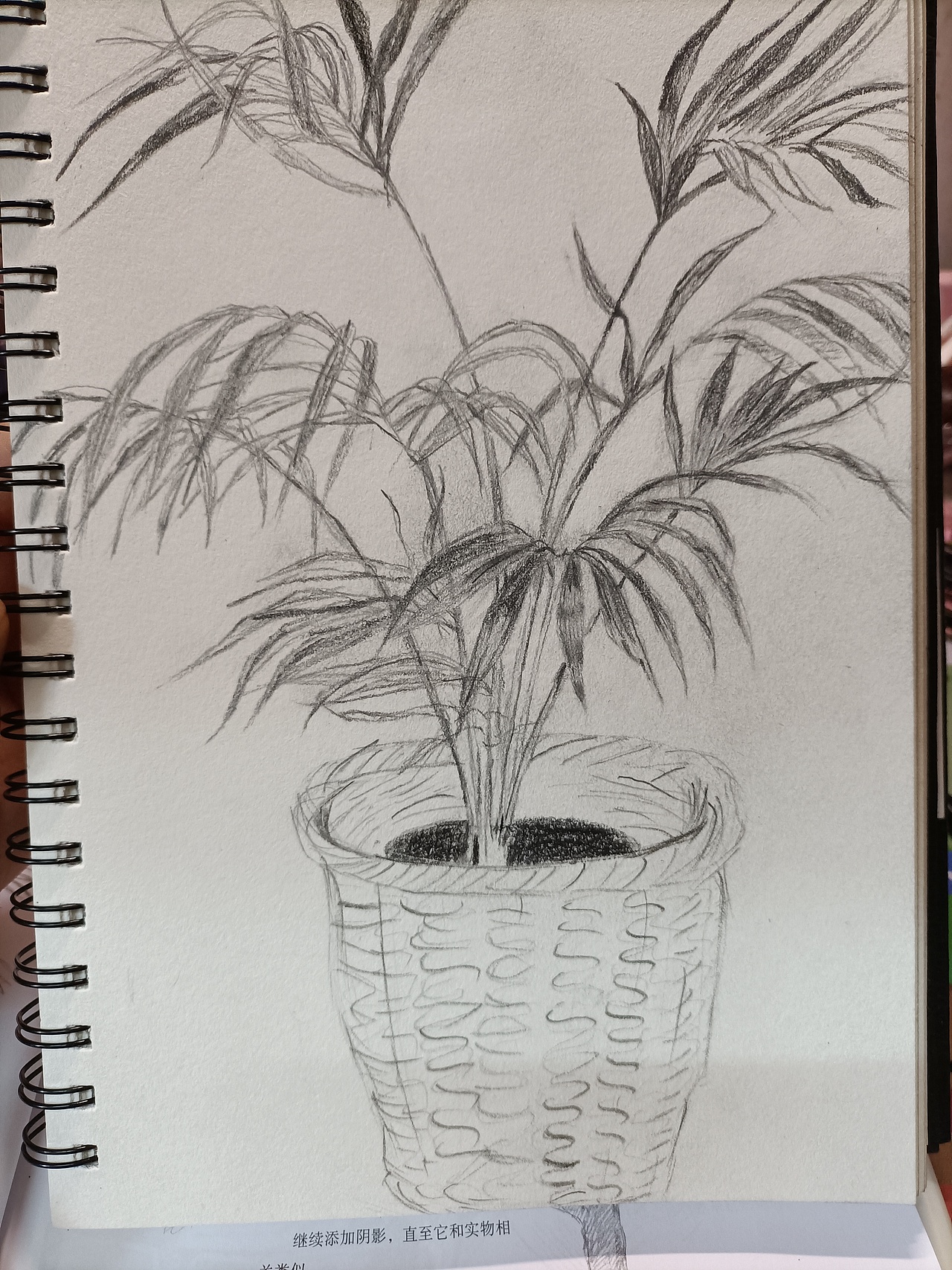 素描打卡3的另外二分之一