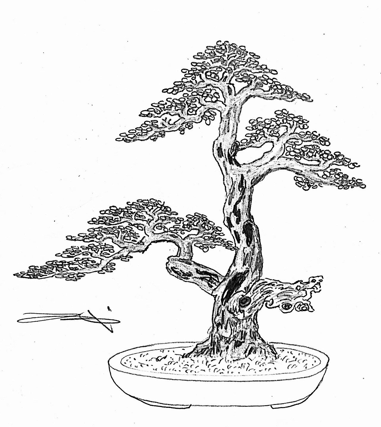 吕绍武手绘盆景设计效果图（图ZMTY4MDkwNzc2） - 绘画 - 站酷设计师慧武原创素材 - 站酷ZCOOL