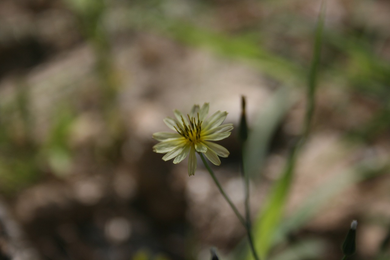 我要我的天空很美~蓝籁曜腈（图ZMTg5Mjc1OTI=） - 风光摄影 - 站酷设计师蓝籁曜腈forever原创素材 - 站酷ZCOOL
