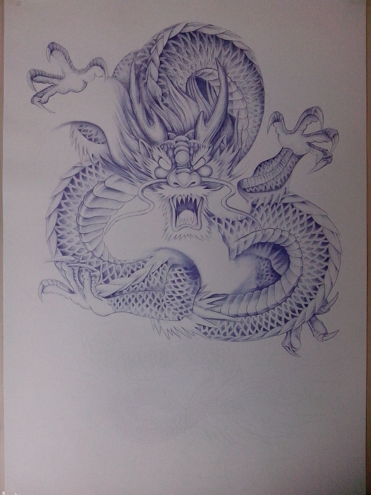 毕鹏伟飞龙圆珠笔画