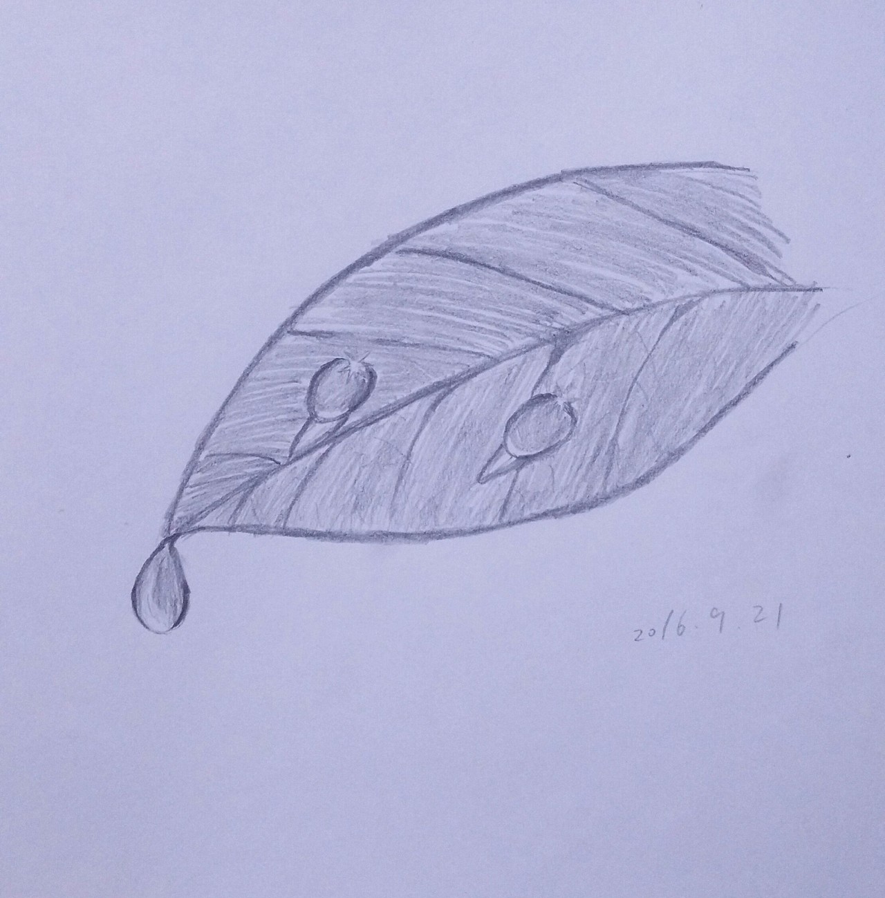 同志仍需努力啊（图ZNjU0NTgyOTY=） - 创作习作 - 站酷设计师嗜血小幸福原创素材 - 站酷ZCOOL