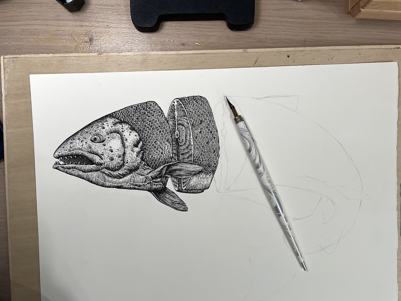 线描｜三文鱼（图ZMzE2MTE0Nzgw） - 艺术插画 - 站酷设计师梁大小姐原创素材 - 站酷ZCOOL