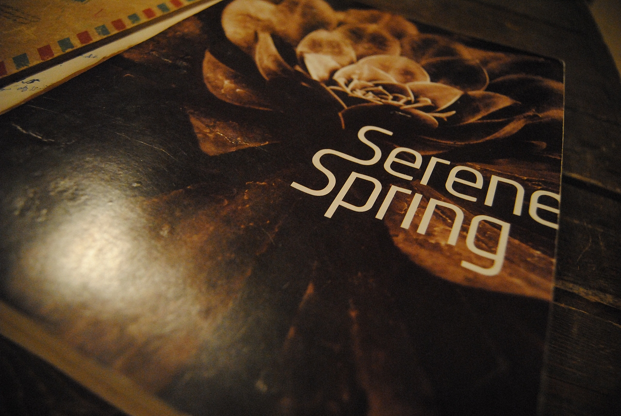 本子很漂亮吧,我在青旅里发现了两本,一本已经写完了,这本比较好看,我挑了一页写我的故事,