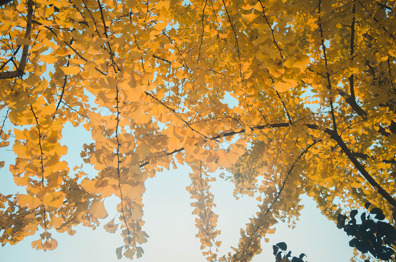 风光摄影（图ZMTg4NTY2MTM2） - 风光摄影 - 站酷设计师Z39085363原创素材 - 站酷ZCOOL