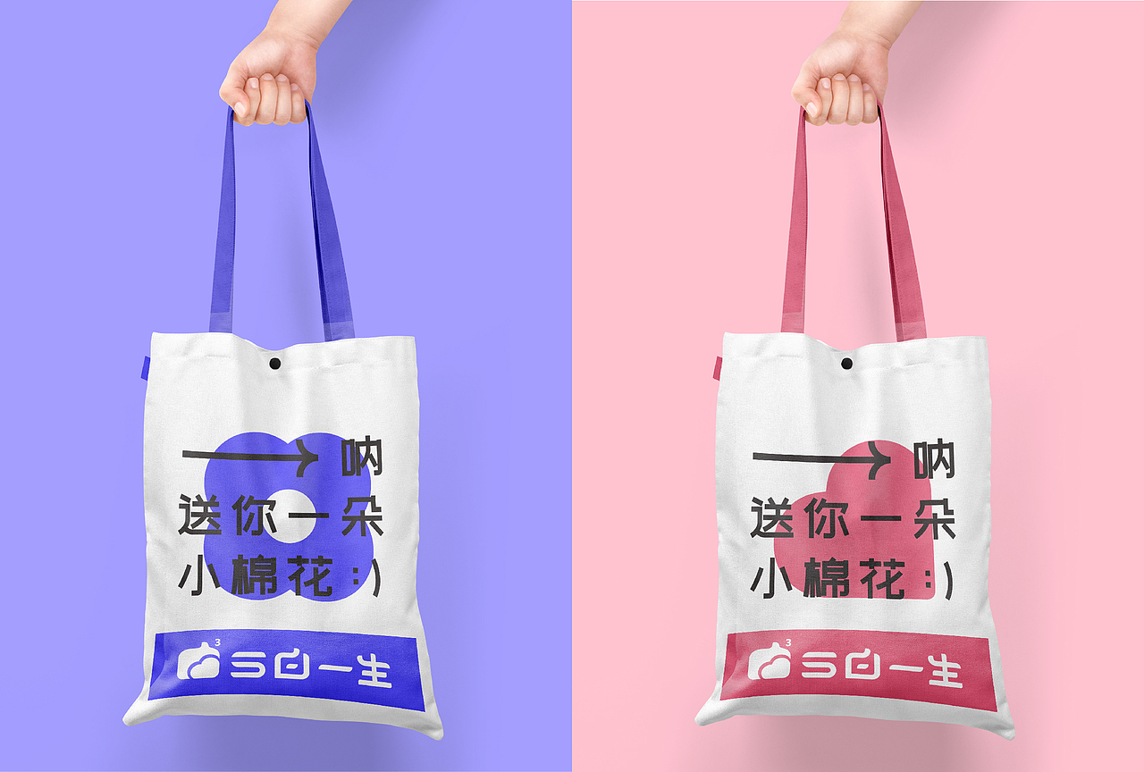 毕业设计扶贫项目“三白一生”