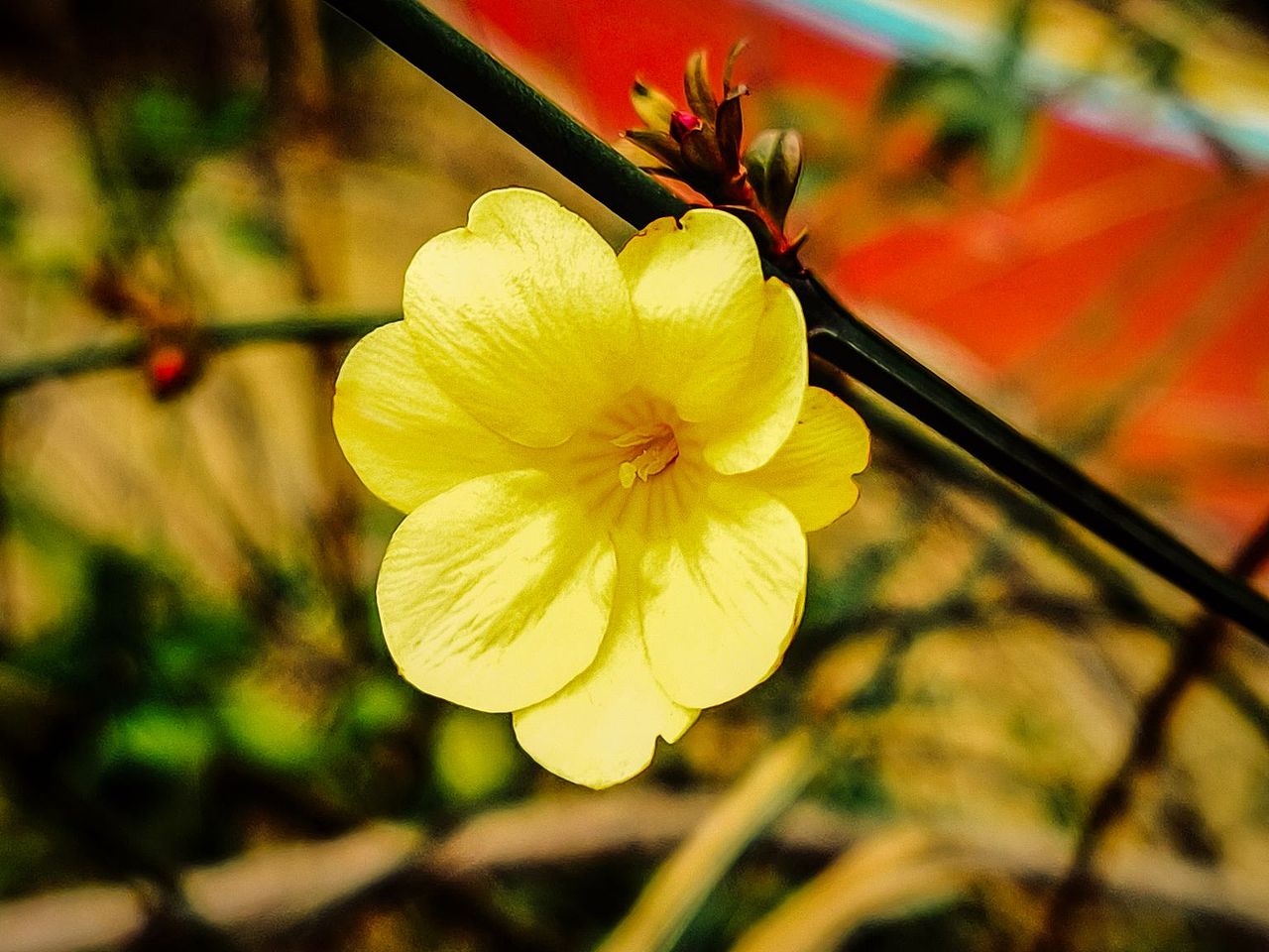 春天的色彩（图ZMzY0Mjg0NDIw） - 风光摄影 - 站酷设计师ThisUndefined原创素材 - 站酷ZCOOL