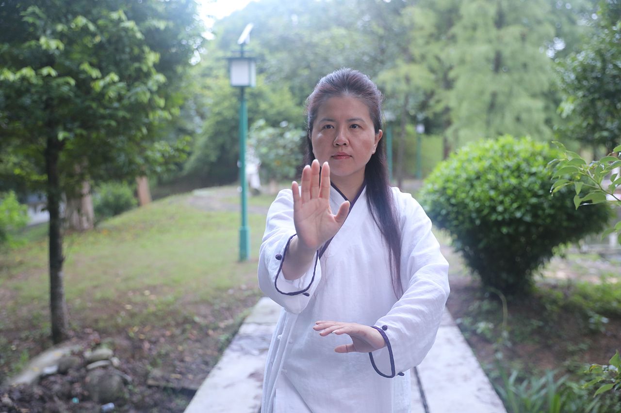 武当道致·理淳