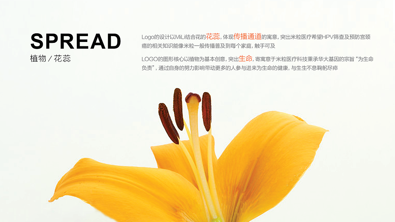 华大基因·米粒医疗 女性宫颈癌防护 LOGO设计（图ZMTE0NzEwNTQw） - Logo - 站酷设计师snow_安小雪原创素材 - 站酷ZCOOL