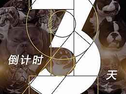 倒计时海报