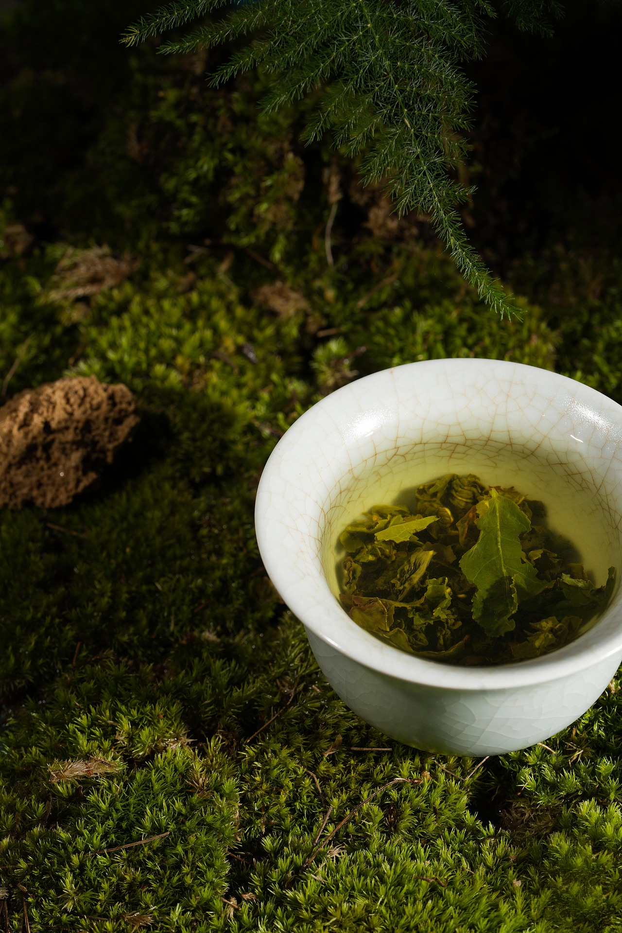 SEVENBUS 茶叶概念图拍摄（图ZMjkxNDQ2Nzc2） - 时尚/艺术摄影 - 站酷设计师NOSeriousOffice原创素材 - 站酷ZCOOL