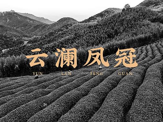 云澜凤冠茶叶品牌设计-必燃创意