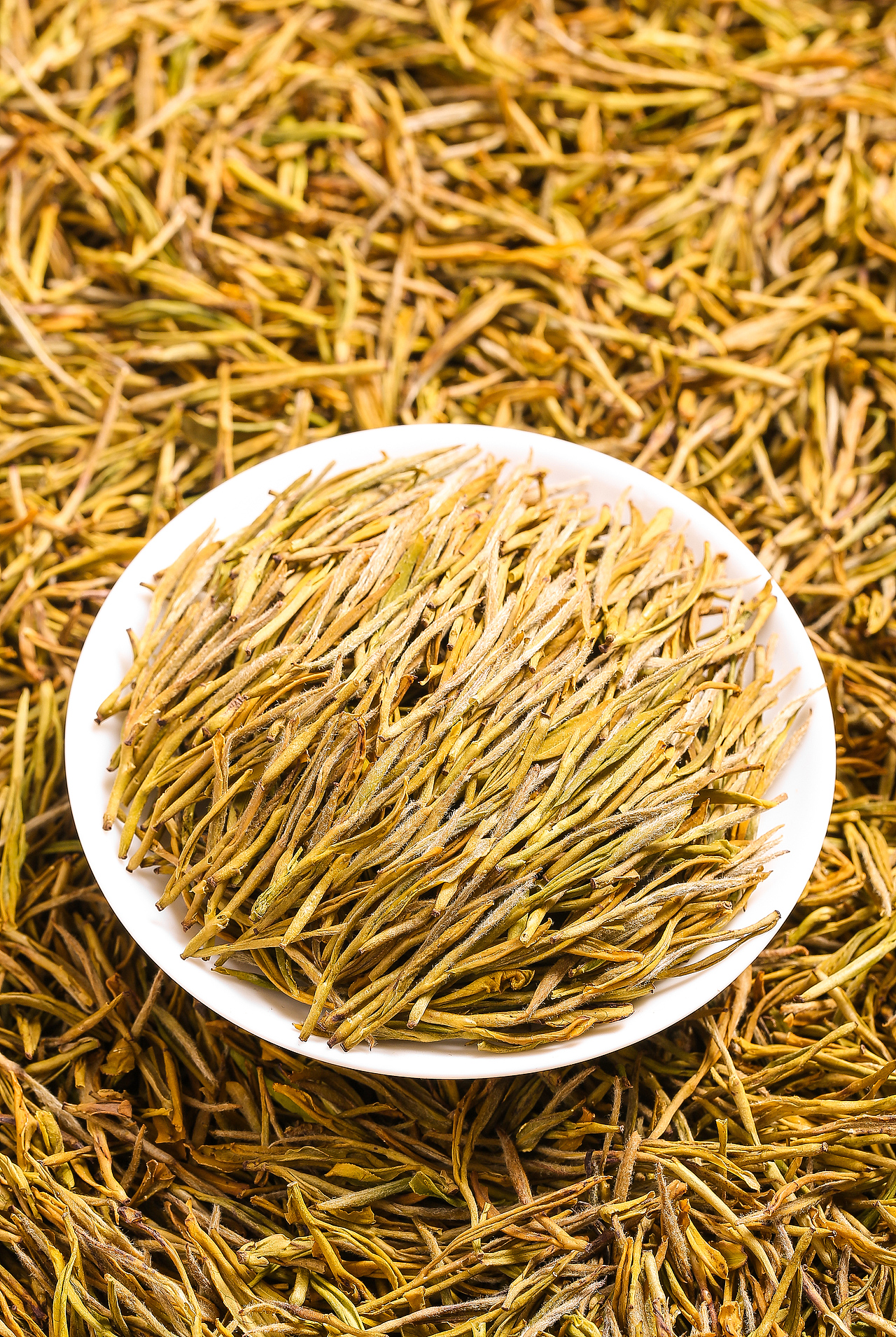 安吉白茶黄金芽