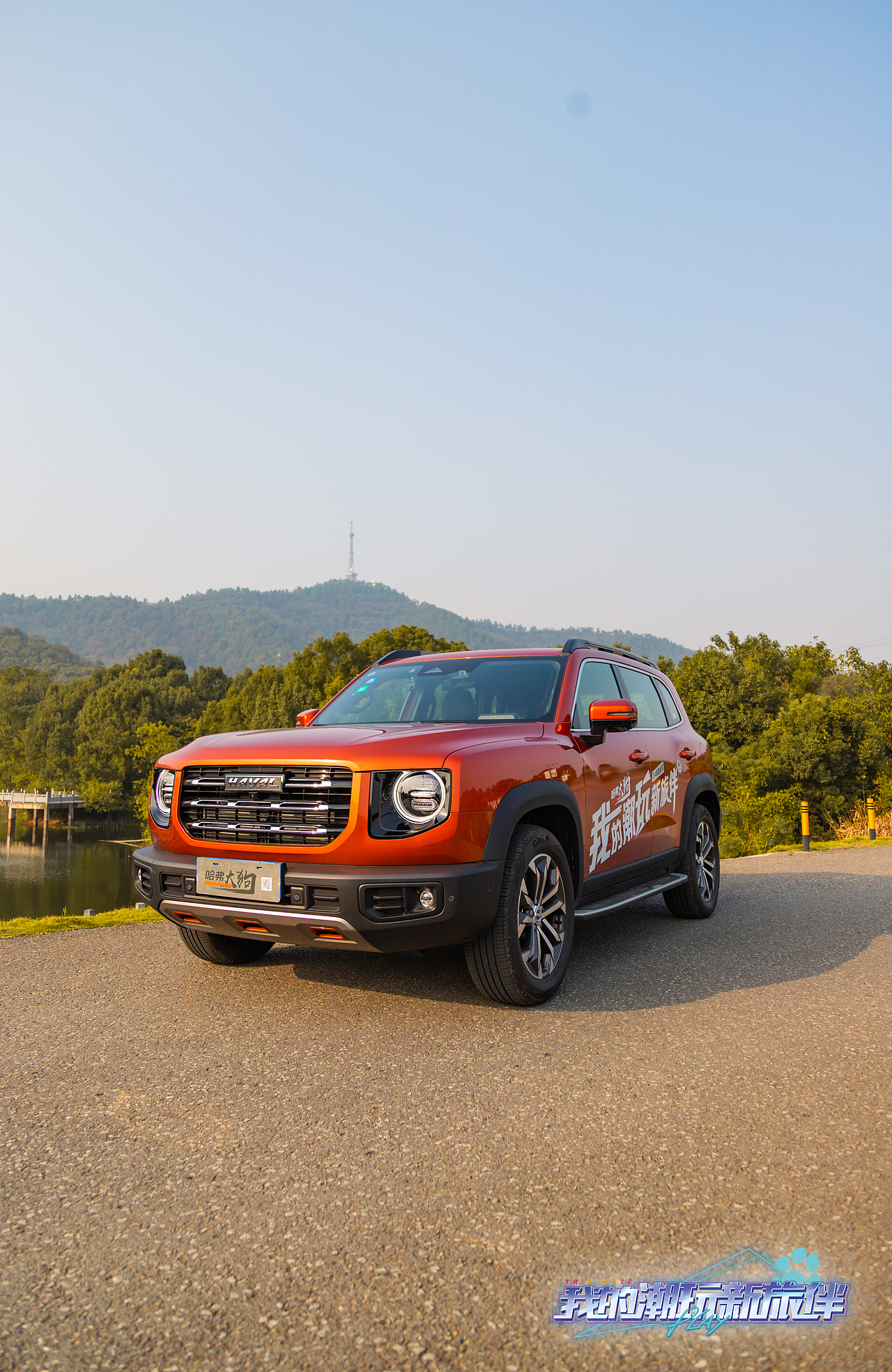 2020年宣城哈弗大狗