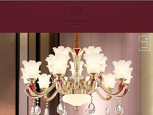 雷派克照明旗舰店-详情