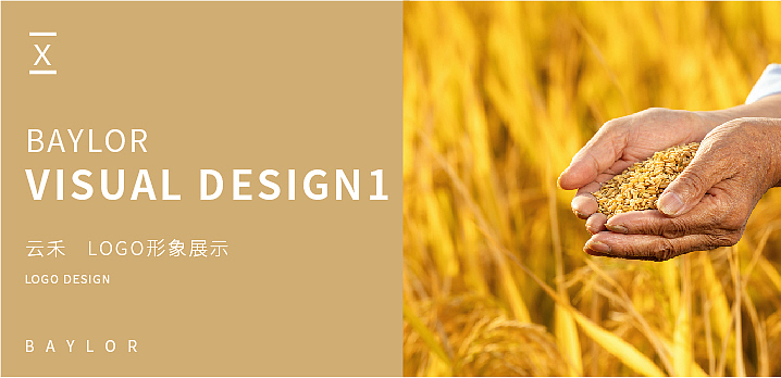 金融农业logo设计-提案