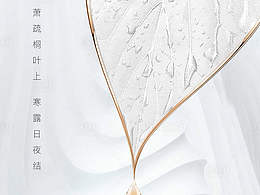 节气系列-素材库