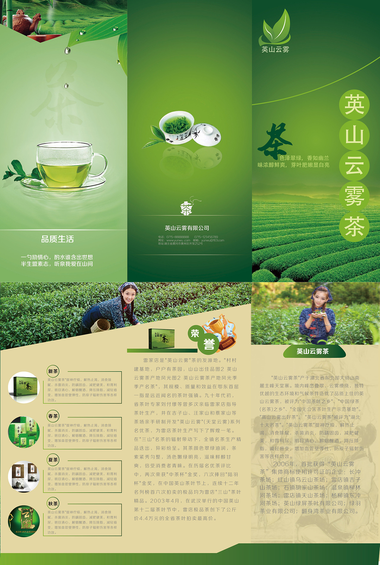 英山云雾茶三折页设计