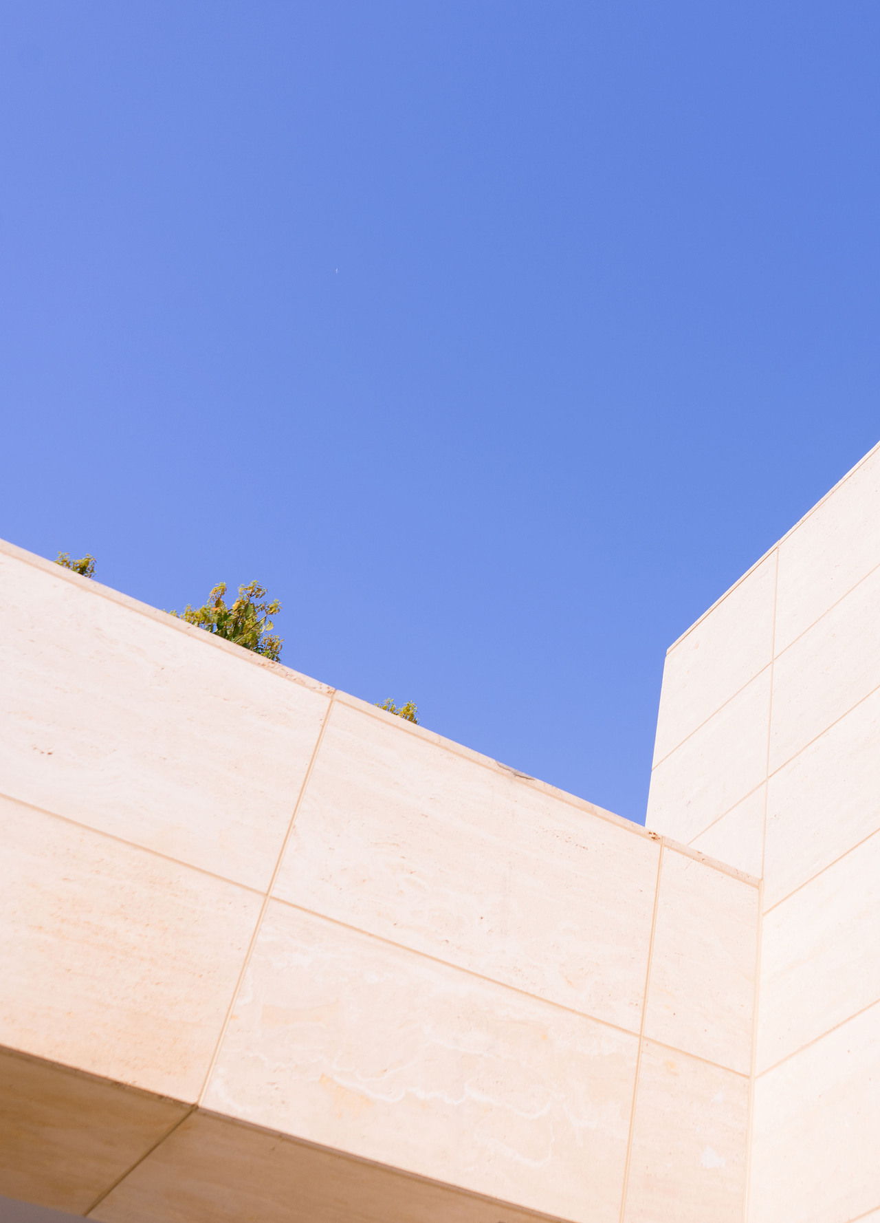 春天来赏樱花吧!