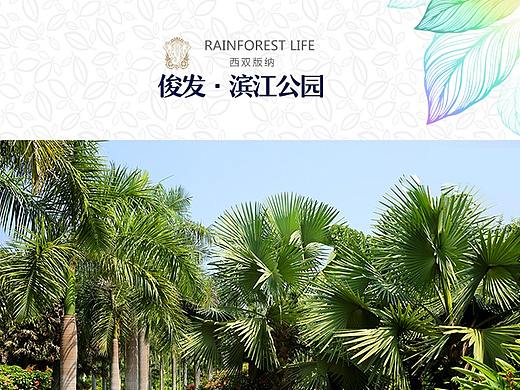 H5长图页面排版